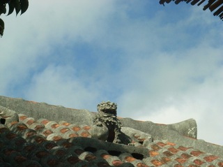 RIMG0066.JPG